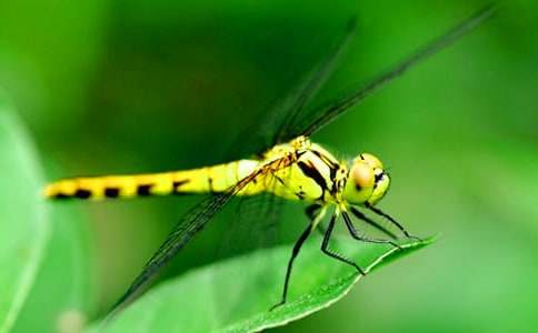 �Ұl(f��)�F�����ѵ��������ģ����x70ƪ��