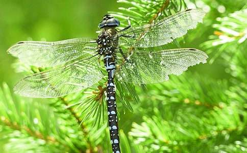 �����c(di��n)ˮ����P(gu��n)������