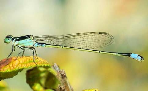 �S����������ͯԒ(hu��)���ģ�ͨ��6ƪ��