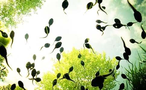 С����ҋ����Ľ̰�����