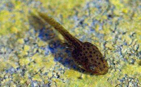 С����ҋ����̰�