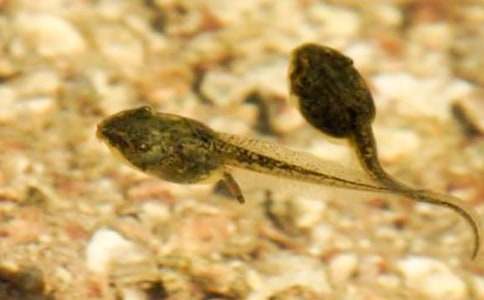 С����ҋ����ă�(y��u)���n�W(xu��)�̰�