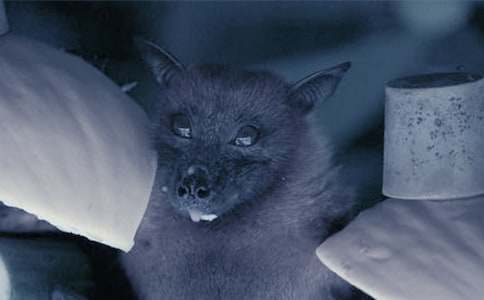 ��������_�̰�15ƪ