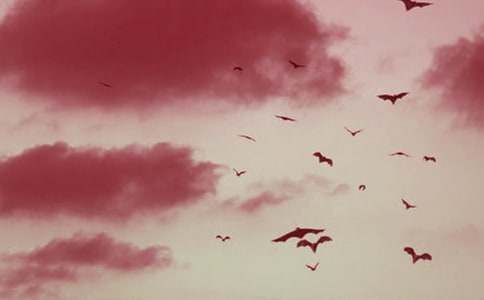 ����������_����(y��u)��̰�