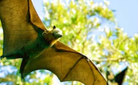 ��������400��9ƪ