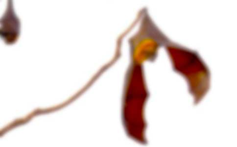 ��������400��5ƪ