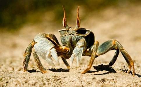 �з���ӵ�ͯԒ(hu��)����