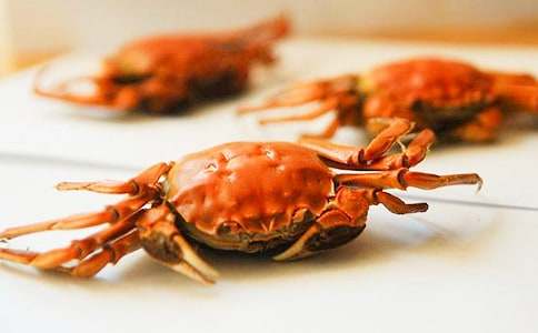 �P(gu��n)�ڳ��з������500�֣����x24ƪ��