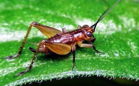 �������300�֣�ͨ��20ƪ��