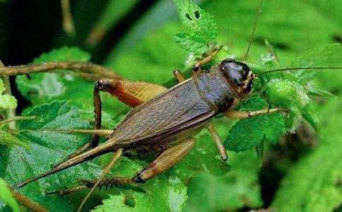 ������400�֣����x43ƪ��