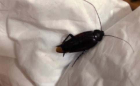 ����(sh��)�á��������300��6ƪ