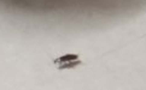 �������600��3ƪ