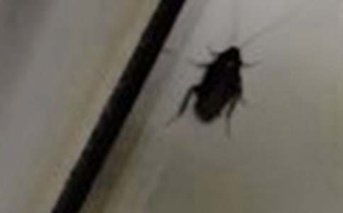 �������400��9ƪ