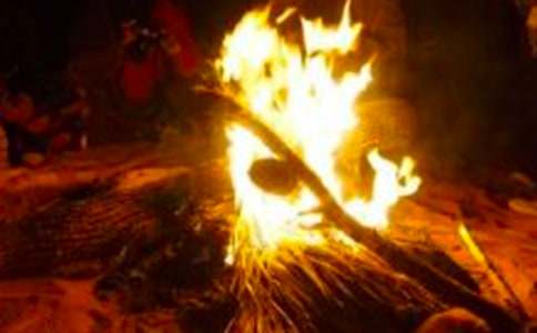 2017�������(hu�� )����