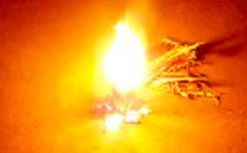 �y�����������(hu�� )����2017