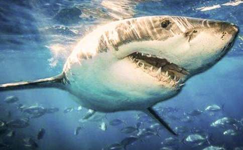 �P(gu��n)�����~(y��)������400�֣�ͨ��43ƪ��