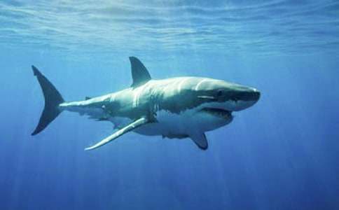 ���o���~(y��)�W(xu��)�����ľ��x