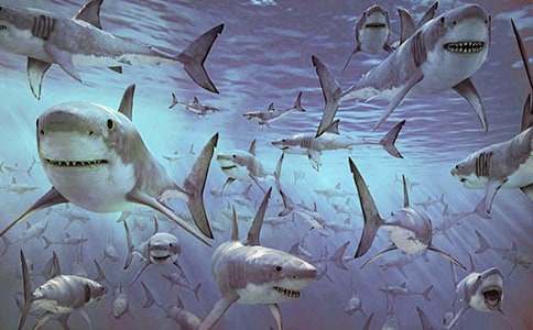 ���~(y��)���ģ����x29ƪ��