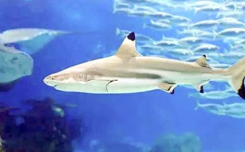 ���~(y��)����4ƪ