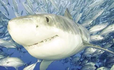 ���~(y��)�������h(hu��n)������