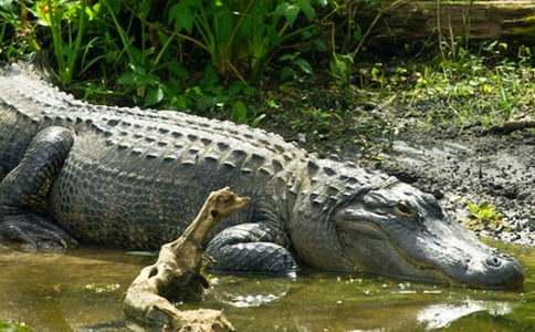 �{�~(y��)÷����ͯԒ(hu��)����