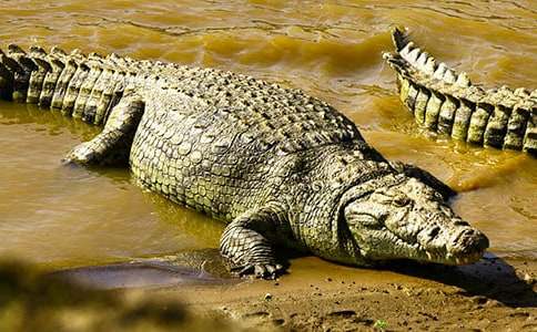 �{�~(y��)�Ġ������ľ��x