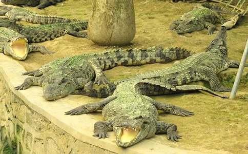 �{�~(y��)���ۜIͯԒ(hu��)����