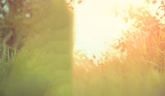 Photoshop�OӋΨ�����Ї����L(f��ng)������Ч���D����