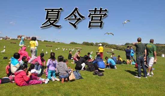 2018�걱����W(xu��)�����W(xu��)Ժ��������I(y��ng)֪ͨ