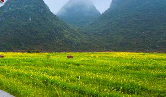 �����εĶY��а�C�ϻ��(d��ng)�̰�